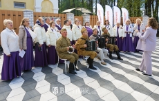 И вновь пришёл победный, светлый май! (фотогалерея)