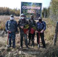 Глеб Никитин: «В Нижегородской области высадили более 200 тысяч деревьев в рамках акции «Сохраним лес»
