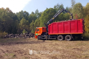 Несанкционированную свалку покрышек ликвидировали в Арзамасском районе Нижегородской области