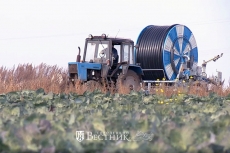 Глеб Никитин: «Нижегородская область рассчитывает в 2021 году привлечь на развитие фермерства в рамках нацпроекта в два раза больше федеральных субсидий»