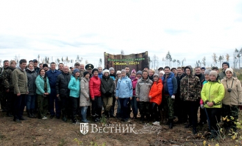70 га нового леса высадили нижегородцы во время акции «Живи лес!»