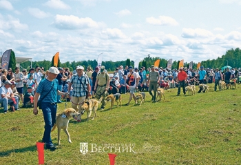 Гончая – это для души!