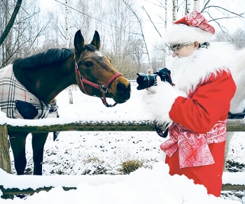 Как Дедушка Мороз за чудом ходил...