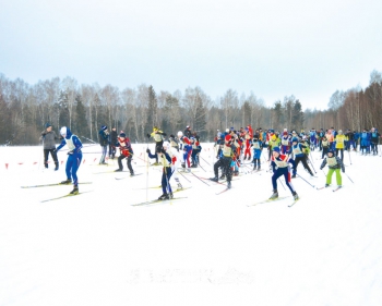 Лыжные гонки у нас в традиции